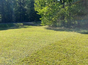 Rebecca C.'s Yard Cutting service result