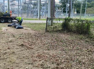 Bush Trimming by Labrian Lars for Halima A. in Shreveport, LA