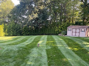 Cindy I.'s Lawn Mowing Service service result