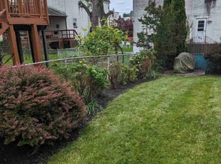 Fran H.'s Lawn Maintenance service result