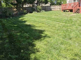 Kathleen S.'s Grass Cutting service result