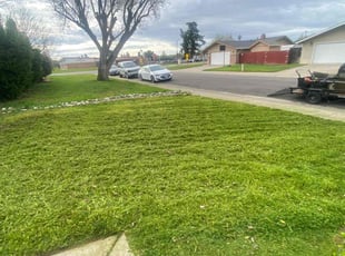 Janice T.'s Lawn Care service result