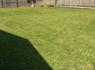 Mary H.'s Lawn Mowing Service service result