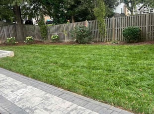 Laura G.'s Lawn Service service result