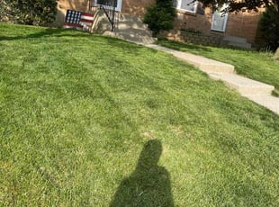 Jose G.'s Lawn Maintenance service result
