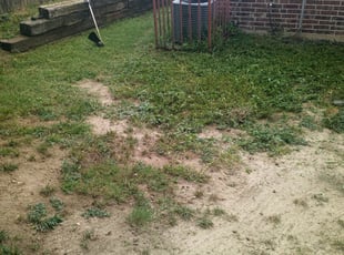 Cleanups by Devonn Ford for Megan T. in Fort Worth, TX