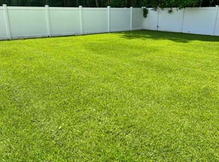 Chris S.'s Grass Cutting service result
