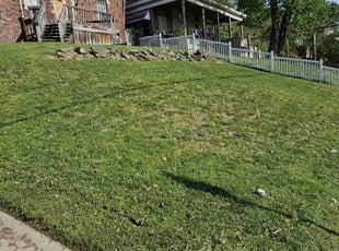 Becca S.'s Yard Cutting service result