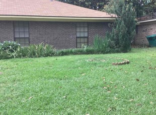 Weeding by Byron Gordy for Jim H. in Jackson, MS