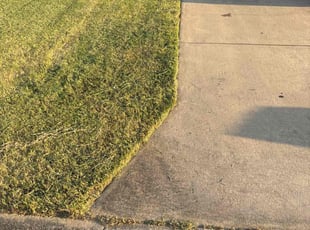Michael C.'s Lawn Care service result