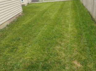 Aeration by Daniel Burton for Deborah M. in Bolingbrook, IL