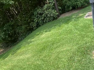 Michael H.'s Lawn Service service result