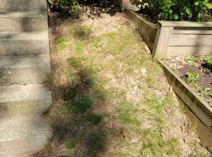 Cleanups by Edwin Villagran for John S. in Gaithersburg, MD