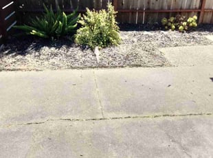 Saurabh S.'s Lawn Mowing service result