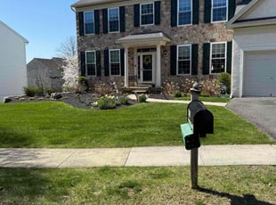 Thaddius H.'s Lawn Mowing Service service result