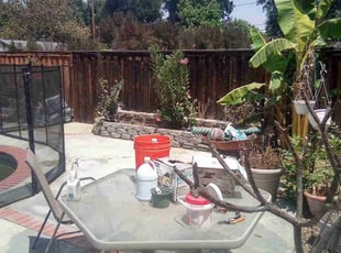 Cleanups by Brenden Henderson for Kelli C. in Riverside, CA