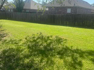 Angie T.'s Lawn Mowing service result