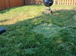 Cleanups by Daniel Taft for Katie L. in Chantilly, VA