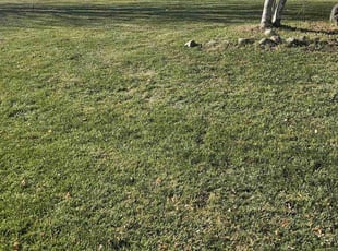Paul l.'s Grass Cutting service result