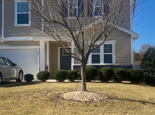 Bush Trimming by Michael Bradley for Nicole N. in Clayton, NC