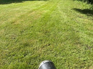 Gena A.'s Grass Cutting service result