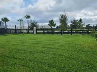 Judy N.'s Lawn Service service result