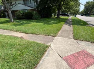 Betsy U.'s Lawn Care service result