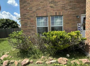 Bush Trimming by Marcus Ward for Alicia S. in Cibolo, TX