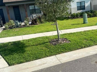 Christine O.'s Grass Cutting service result