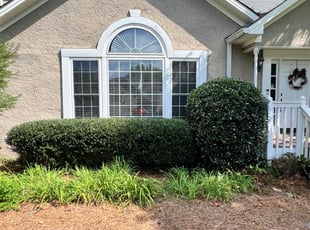Bush Trimming by Marc Yero for Kelly B. in Marietta, GA