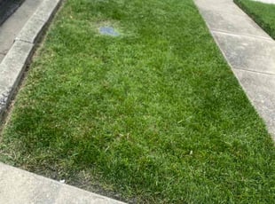 Cheryl W.'s Lawn Service service result