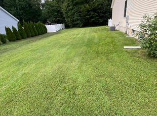 Jonelle D.'s Lawn Service service result