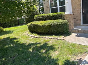 Bush Trimming by Martin Stovall for Steven B. in Suffolk, VA