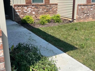 Weeding by David Manning for Shelby G. in Strafford, MO