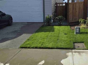 Stephanie G.'s Grass Cutting service result