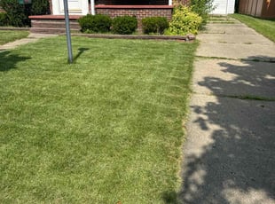 Jordan M.'s Lawn Service service result