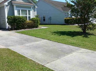 Raymond C.'s Lawn Mowing service result