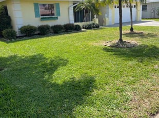 Daniel B.'s Lawn Mowing service result