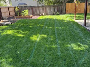 Lina S.'s Lawn Service service result