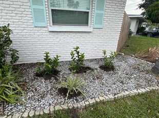 Weeding by Feliciano Perez for Kailey C. in Tampa, FL
