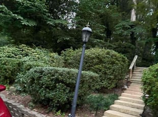 Cleanups by Mohammad Haidari for Estrella M. in Springfield, VA