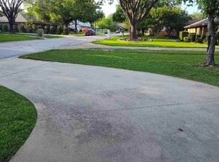 Donna H.'s Lawn Mowing Service service result