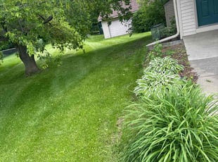 AK S.'s Lawn Mowing service result