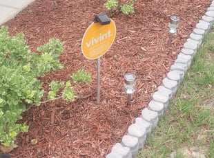 Weeding by Colleen Strickland for Tamekia J. in Charlotte, NC