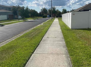 Dannielle C.'s Lawn Service service result