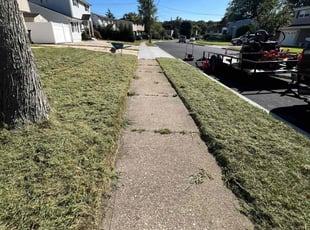 Ken P.'s Lawn Service service result