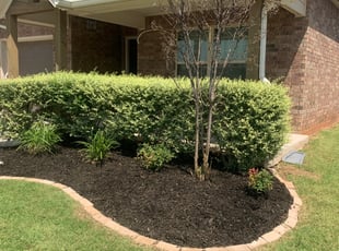 Landscaping by Leray Thornton for Naseem H. in Edmond, OK