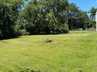 Brandon E.'s Yard Cutting service result