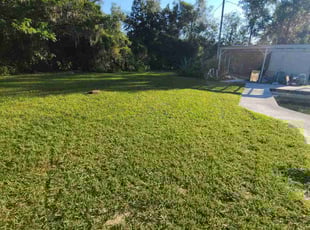 Phyllis B.'s Grass Cutting service result