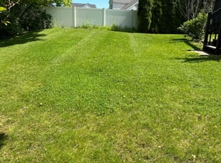 Eavon M.'s Lawn Mowing service result